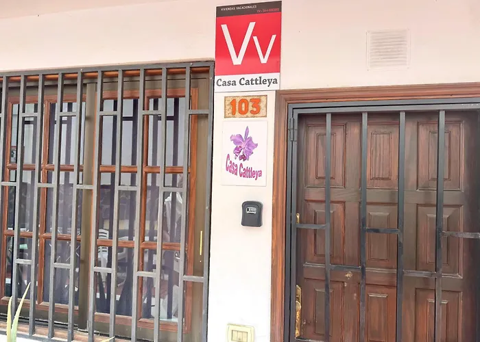 Cozy With Pool Diamantes *